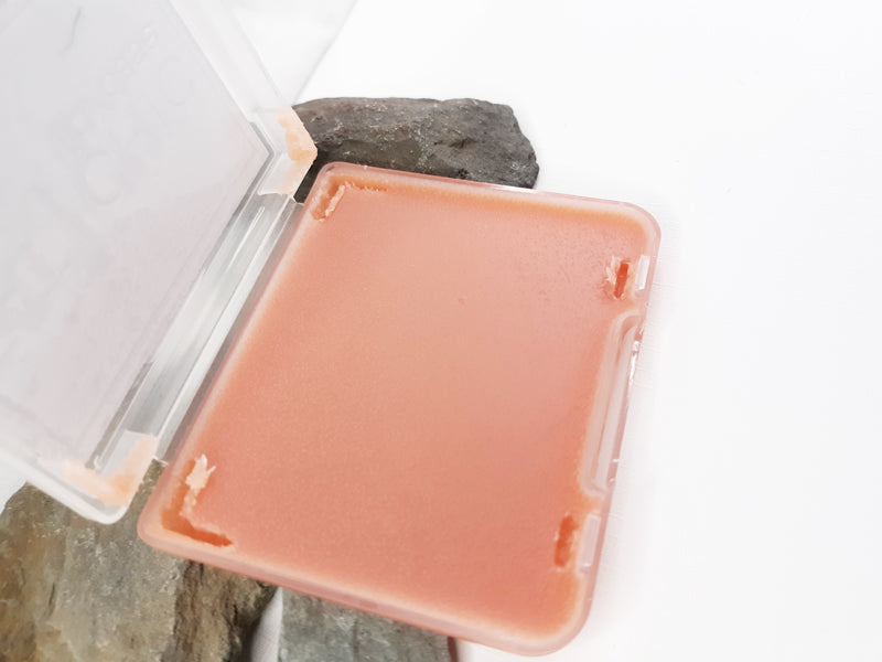 Lip/Cases - Hamptons Pink